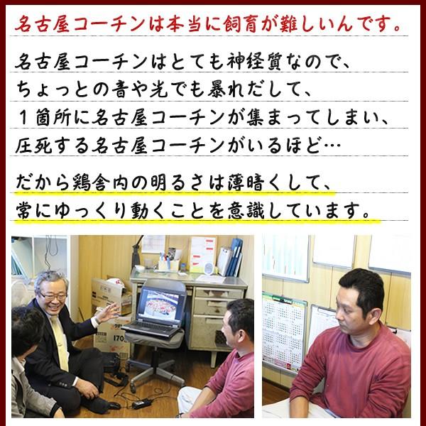 お鍋セット 名古屋コーチンとり鍋セット 水炊き 鳥鍋（野菜付き） 名古屋コーチン コーチン鍋 地鶏 送料無料 / 冷蔵限定配送 | 水郷のとりやさん | 07