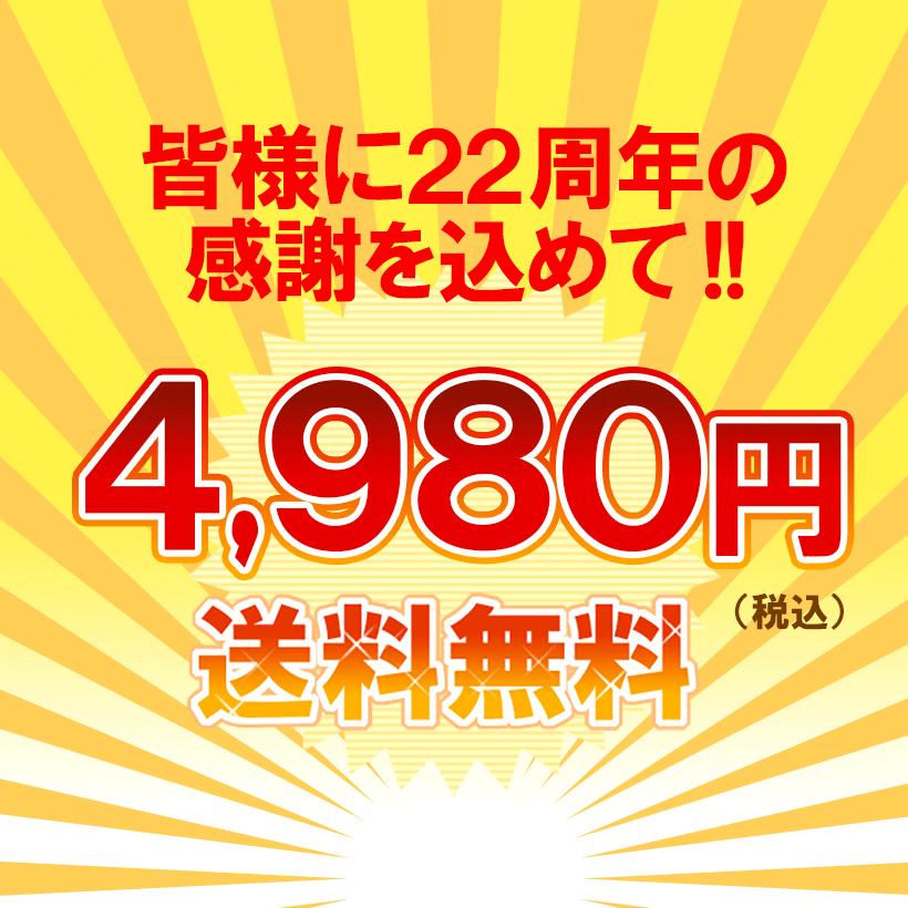 水郷のとりやさん 福袋 送料無料 23周年 プレミアム ［ 手羽餃子  