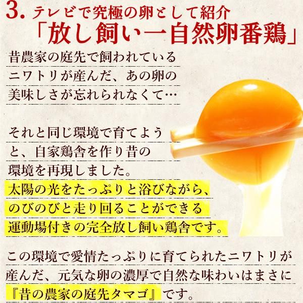 すき焼き 水郷どりセット 桐箱入 お取り寄せ 御歳暮（お歳暮）ギフト | 水郷のとりやさん | 06
