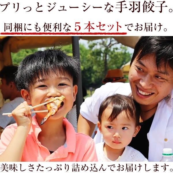 餃子 手羽餃子５本セット 点心 手羽先餃子（鶏手羽） お取り寄せグルメランキング１位受賞 あすつく リュウジのバズレシピ エールマーケット | 水郷のとりやさん | 12