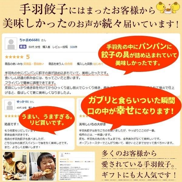 餃子 手羽餃子５本セット 点心 手羽先餃子（鶏手羽） お取り寄せグルメランキング１位受賞 あすつく リュウジのバズレシピ エールマーケット | 水郷のとりやさん | 08