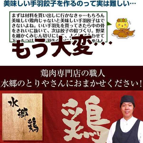 餃子 手羽餃子 10本入 お取り寄せグルメ 手羽先餃子 餃子 点心 手羽先 送料無料｜suigodori｜05