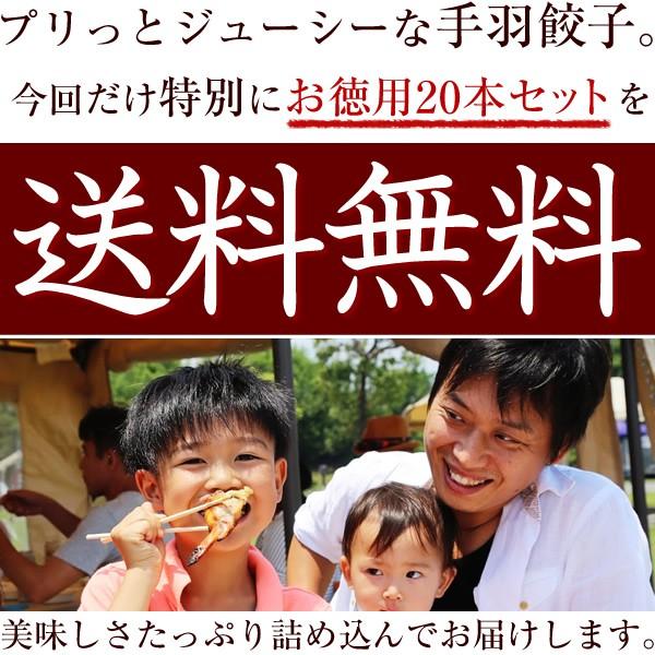 餃子 手羽餃子 20本入 お取り寄せグルメ 取り寄せ ミールキット 手羽先餃子 餃子 冷凍食品 点心 手羽先 父の日 送料無料 | 水郷のとりやさん | 12