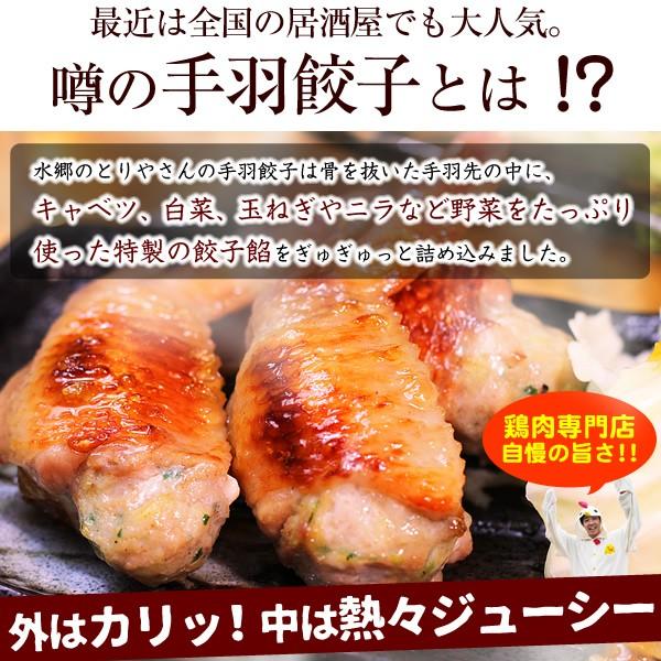 餃子 手羽餃子 20本入 お取り寄せグルメ 取り寄せ ミールキット 手羽先餃子 餃子 冷凍食品 点心 手羽先 父の日 送料無料 | 水郷のとりやさん | 03