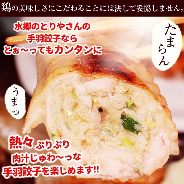 餃子 手羽餃子 20本入 お取り寄せグルメ 取り寄せ ミールキット 手羽先餃子 餃子 冷凍食品 点心 手羽先 送料無料 あすつく｜suigodori｜06