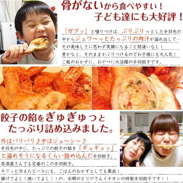 餃子 手羽餃子 20本入 お取り寄せグルメ 取り寄せ ミールキット 手羽先餃子 餃子 冷凍食品 点心 手羽先 送料無料 あすつく｜suigodori｜07