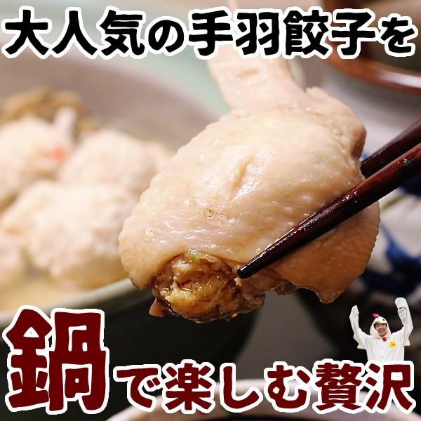 お取り寄せグルメ 鍋 手羽先餃子鍋セット 2-3人前 ミールキット 送料無料 国産 手羽餃子 鶏手羽 つみれ 鶏ガラ 鶏がら スープ  手羽餃子鍋 冷凍限定 あすつく｜suigodori｜07