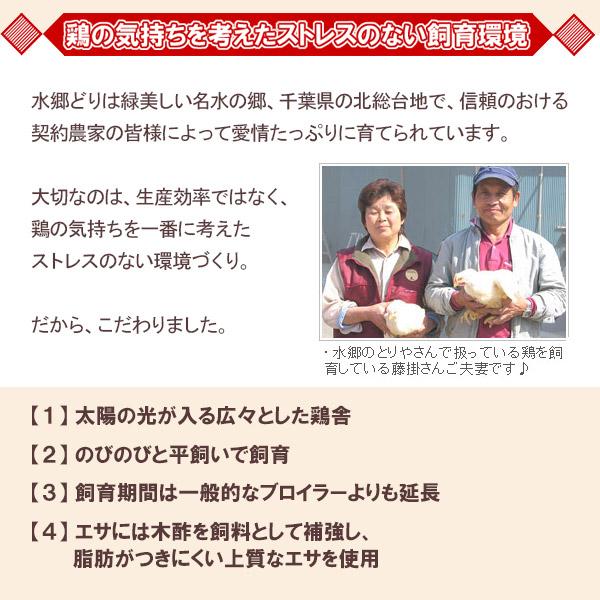 鳥もつ煮込み　（2-3人前 1袋 約330g）モツ煮 モツ煮込み おつまみ お取り寄せグルメ｜suigodori｜06