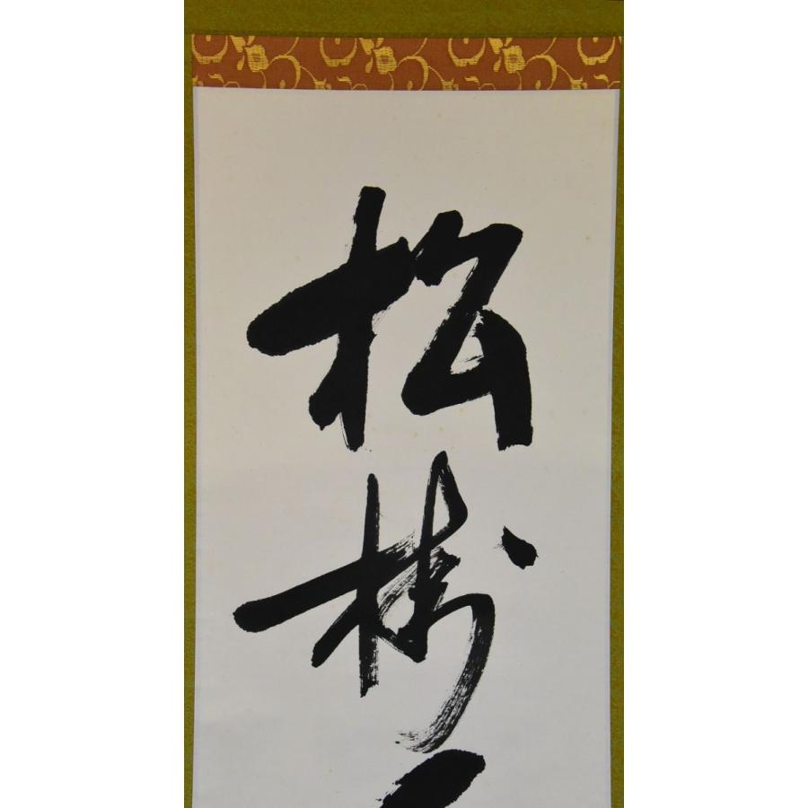 堀内宗完　兼中斎　茶掛軸　一行　松樹千年翠　茶道具　表千家 堀内宗完 兼中斎 茶掛軸 一行 松樹千年翠 茶道具 表千家