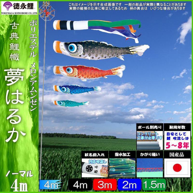  【MD9F8DCTALO】 限定デザイン