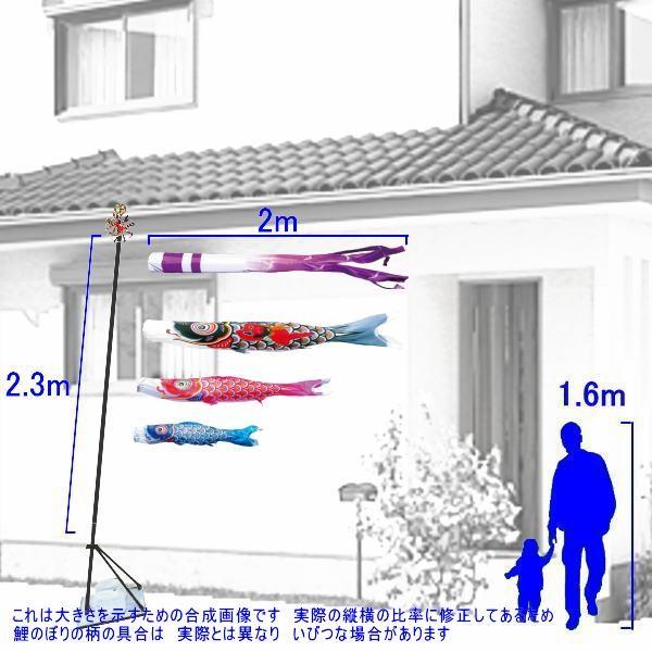 鯉のぼり 徳永鯉 3695 プレミアムベランダスタンドセット 大翔 2m3匹