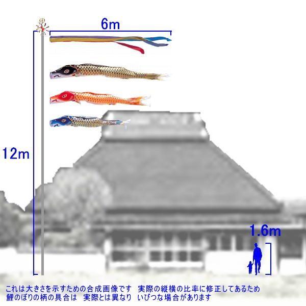 鯉のぼり江戸錦5m5色セット 楽天市場】【楽天1位】 こいのぼり 5色セット 鯉のぼり ポール付き 鯉