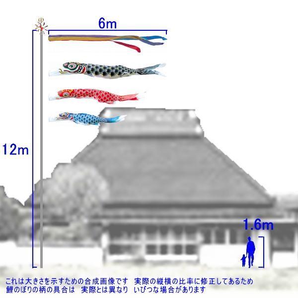 鯉のぼり 錦鯉 HNG0063 ノーマルセット 羽衣錦鯉 6m3匹 五色吹流し