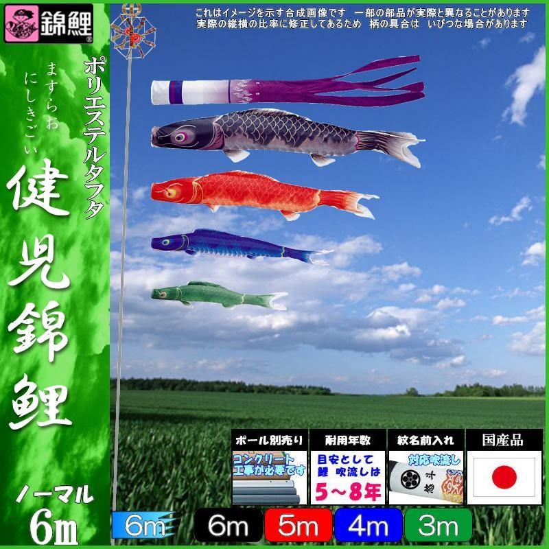 鯉のぼり 錦鯉 ノーマルセット 健児錦鯉 6m4匹 瑞雲吹流し 139600152