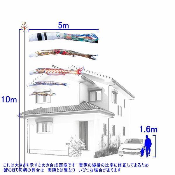 鯉のぼり 錦鯉 GNHK054 ノーマルセット 黄金錦鯉 5m4匹 金太郎 飛龍