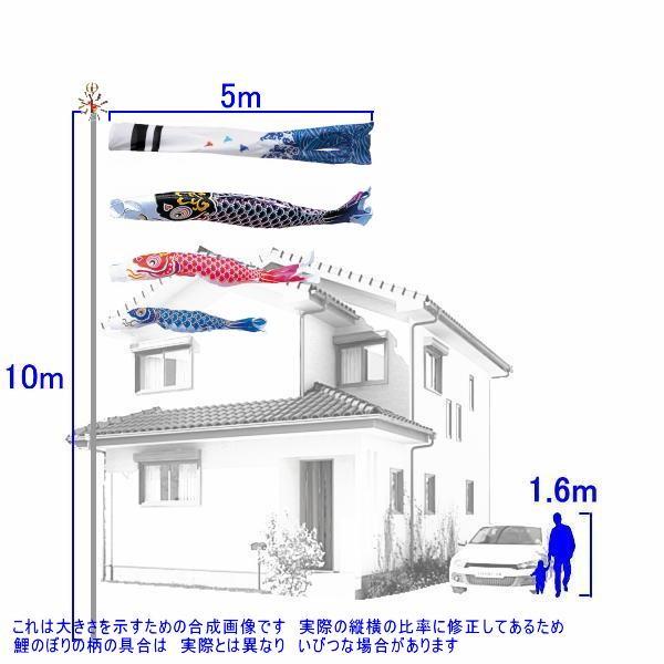 鯉のぼり 錦鯉 ANN0053 ノーマルセット 綾錦鯉 5m3匹 浪千鳥吹流し