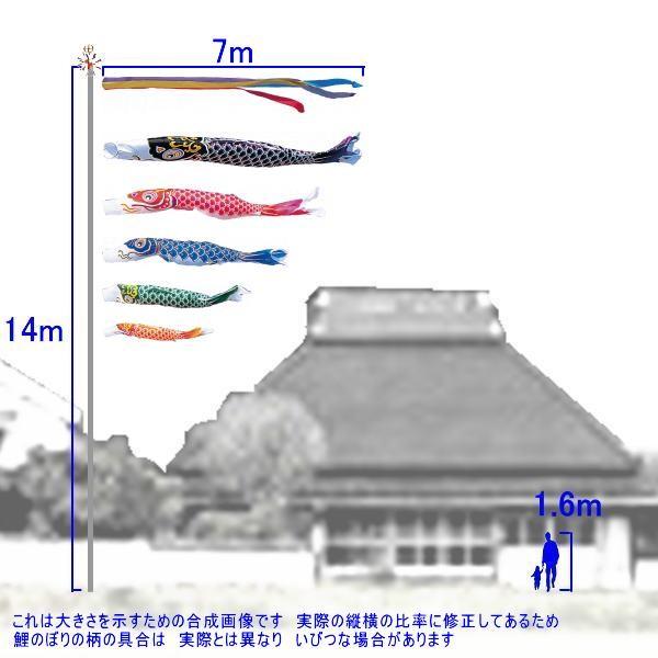 綾錦鯉5mセット 錦鯉 Mix （LL) 5匹 21〜25cm前後 錦鯉 鯉 色鯉 生体 川魚