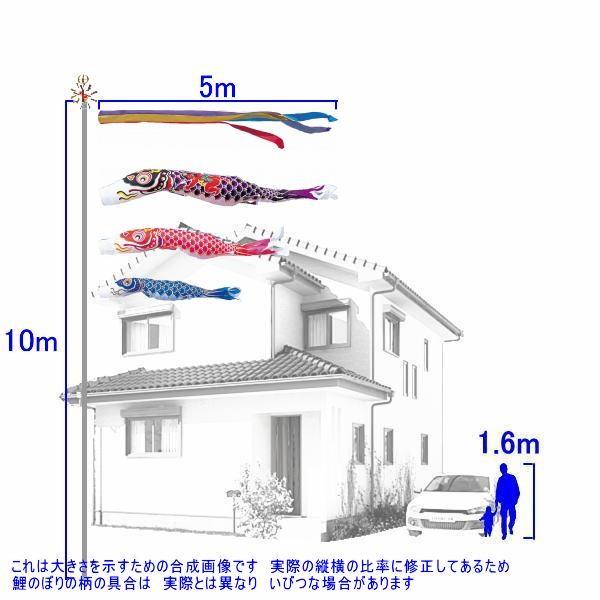 綾錦鯉5mセット 鯉のぼり 錦鯉 ANGK053 ノーマルセット 綾錦鯉 5m3匹 金太郎