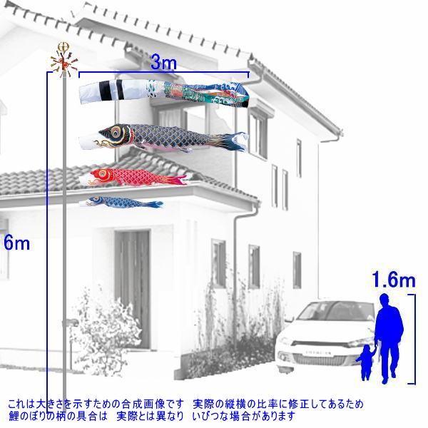 鯉のぼり 錦鯉 KKH0033 ノーマルセット 金寿鯉 3m3匹 飛龍吹流し