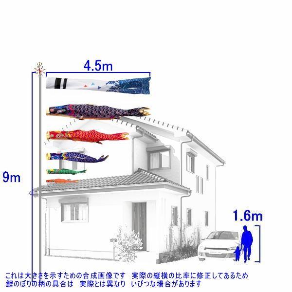 鯉のぼり 錦鯉 TEN255N ノーマルセット 天 2間半5匹 浪千鳥