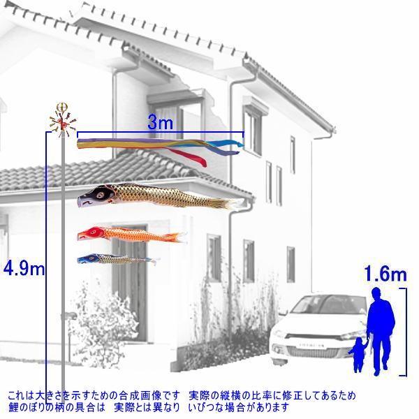 鯉のぼり 錦鯉 MHENG30 マイホームセット 江戸錦鯉 3m3匹 五色 鯉のぼり 錦鯉 MHENG30 マイホームセット 江戸錦鯉 3m3匹 五色