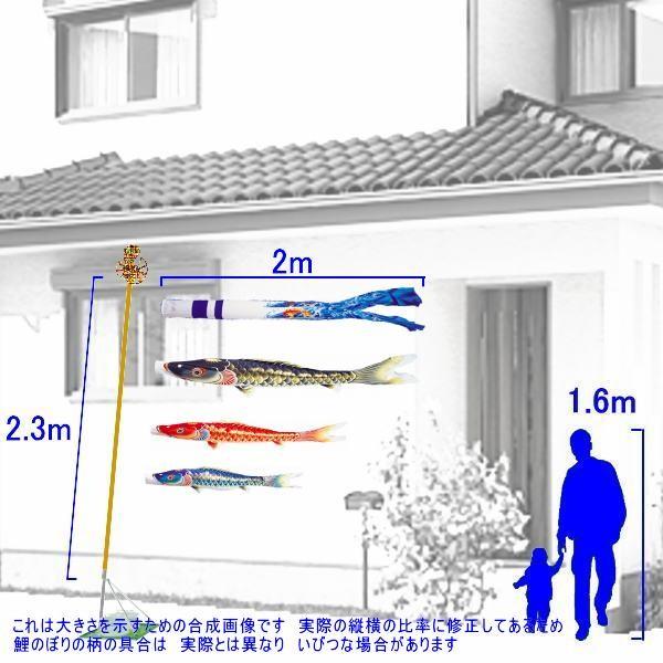 鯉のぼり 錦鯉 CSTK020 スタンドCタイプセット 天華 2m3匹 天華滝のぼり吹流し 撥水加工 139600552の画像