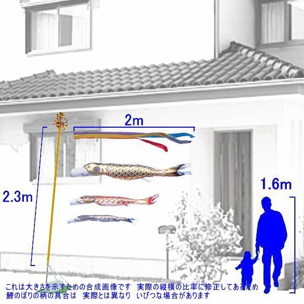 鯉のぼり 錦鯉 CSGNG20 スタンドCタイプセット 黄金錦鯉 2m3匹 五色 