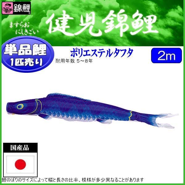 鯉のぼり単品 錦鯉 健児錦鯉 青鯉 ２ｍ 鯉のぼり-記念、行事用品-ベビー、キッズ、マタニティ