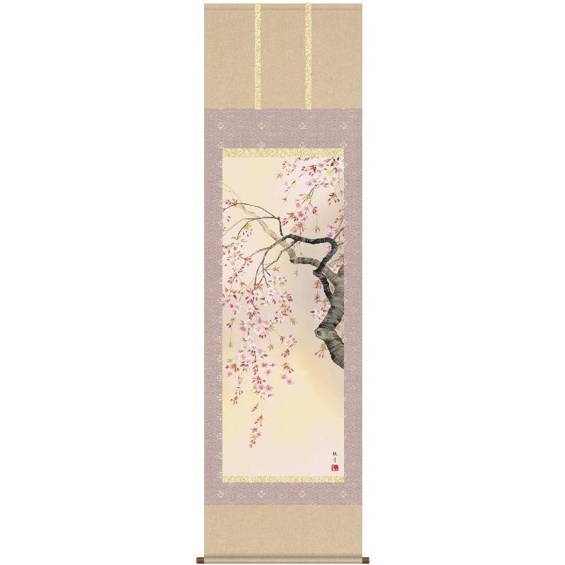 掛軸 三幸 第34集 桜花爛漫 尺五 A6-09A 森山 観月 140347654 掛け軸-美術、工芸品