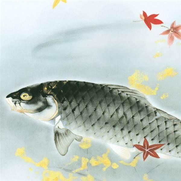 三幸 侘1号 秋鱗 尺五 KZ2G9-073 川端 龍子 154771444 【本】
