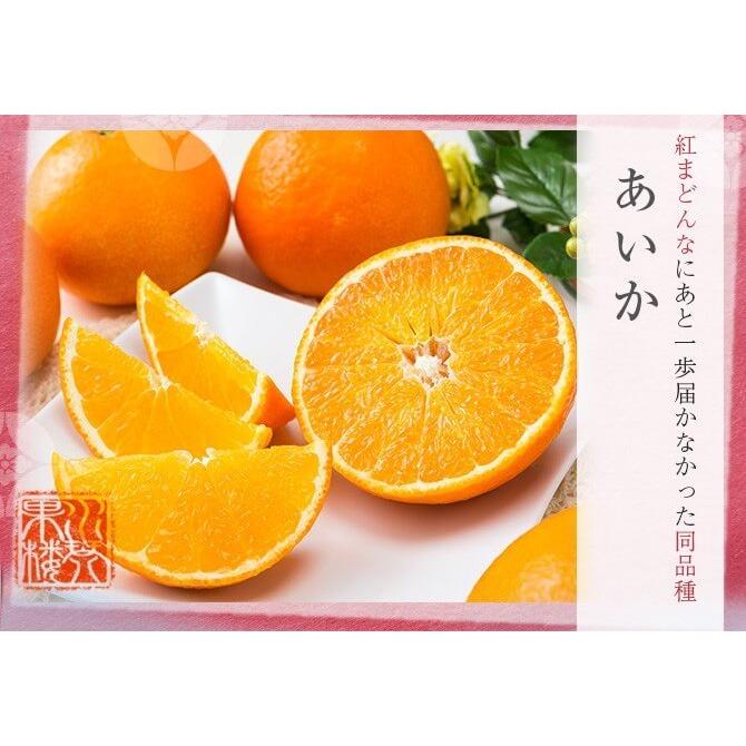 2025 あいか お歳暮 ギフト 3~4Lサイズ 約5kg 紅まどんなと同品種 愛媛