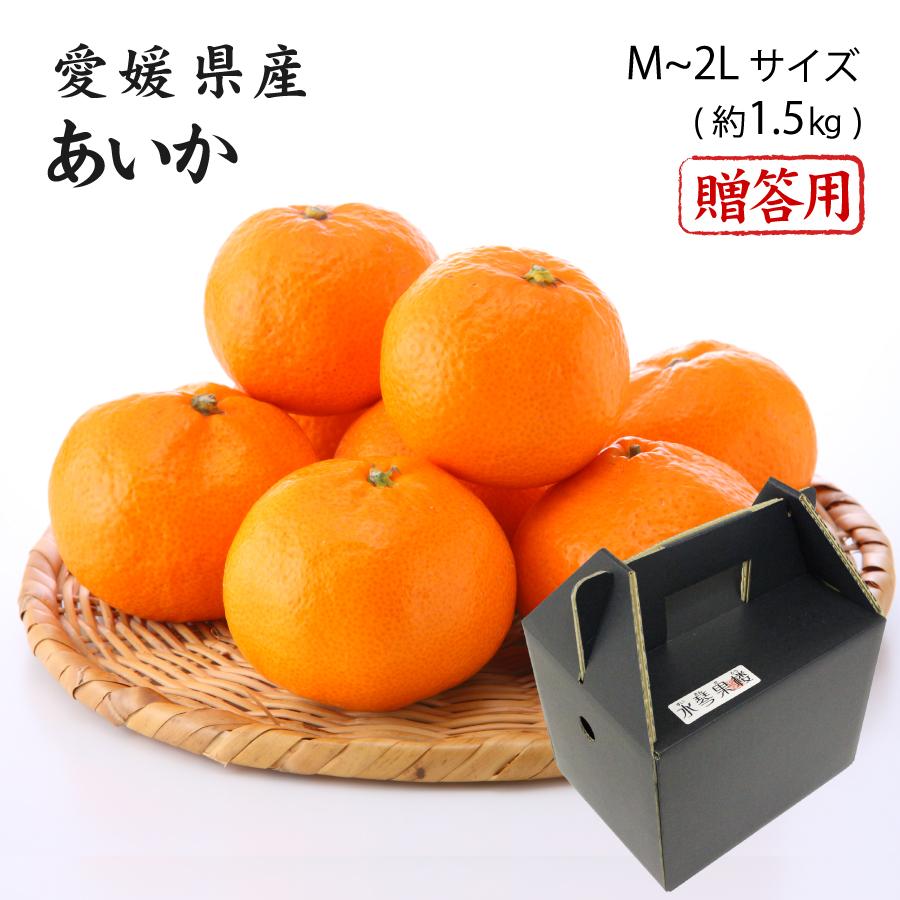 2025 あいか お歳暮 ギフト M~2Lサイズ 約1.5kg 紅まどんなと同品種