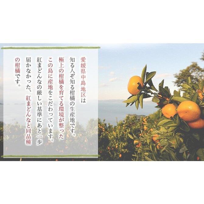 2025 あいか お歳暮 ギフト M~2Lサイズ 約1.5kg 紅まどんなと同品種