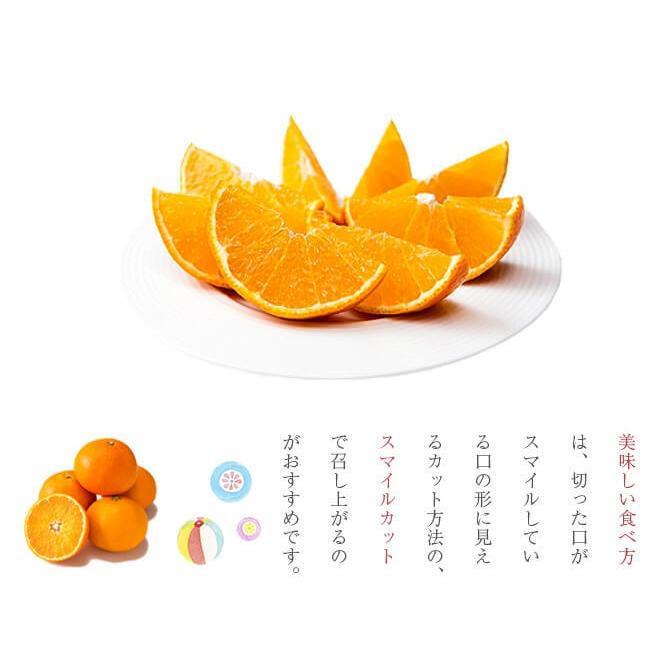 2025 あいか お歳暮 ギフト M~2Lサイズ 約1.5kg 紅まどんなと同品種
