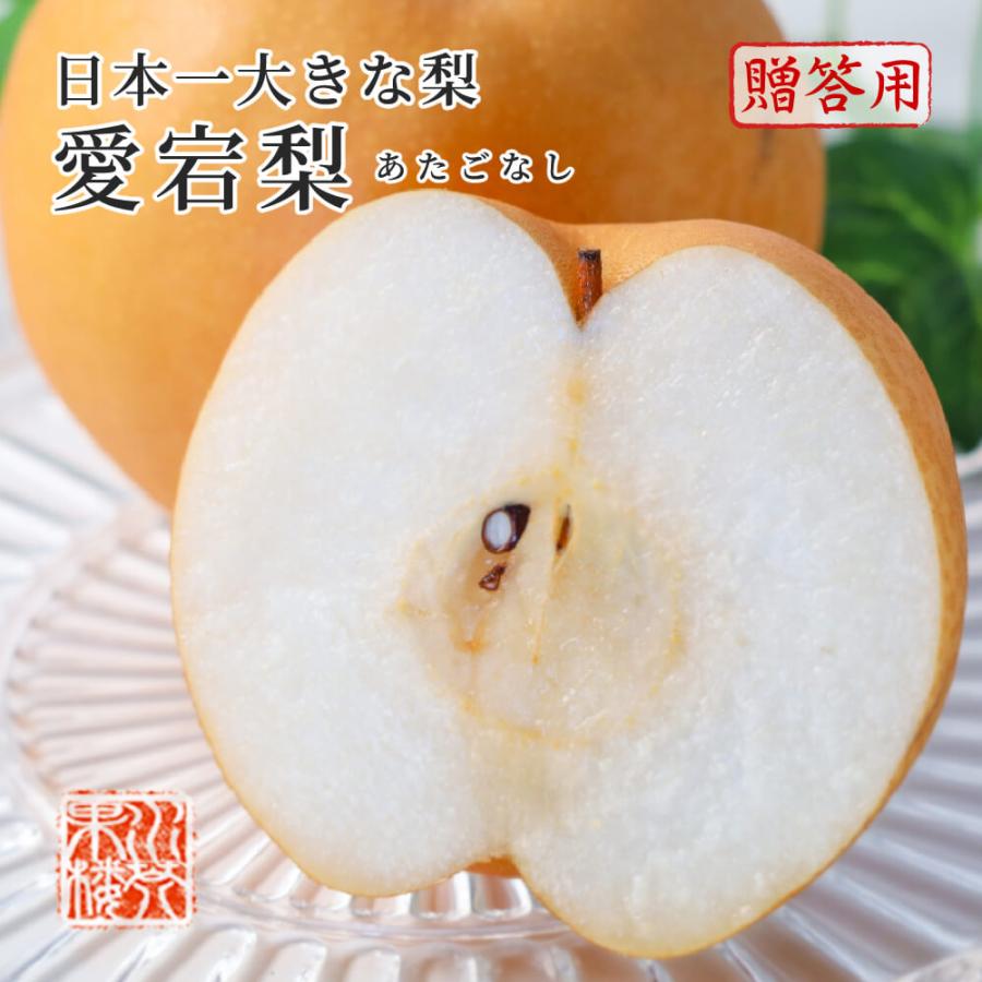 2025 お歳暮 ギフト 岡山県産 あたご梨 秀品 大玉 2玉入り 合計約1.6kg