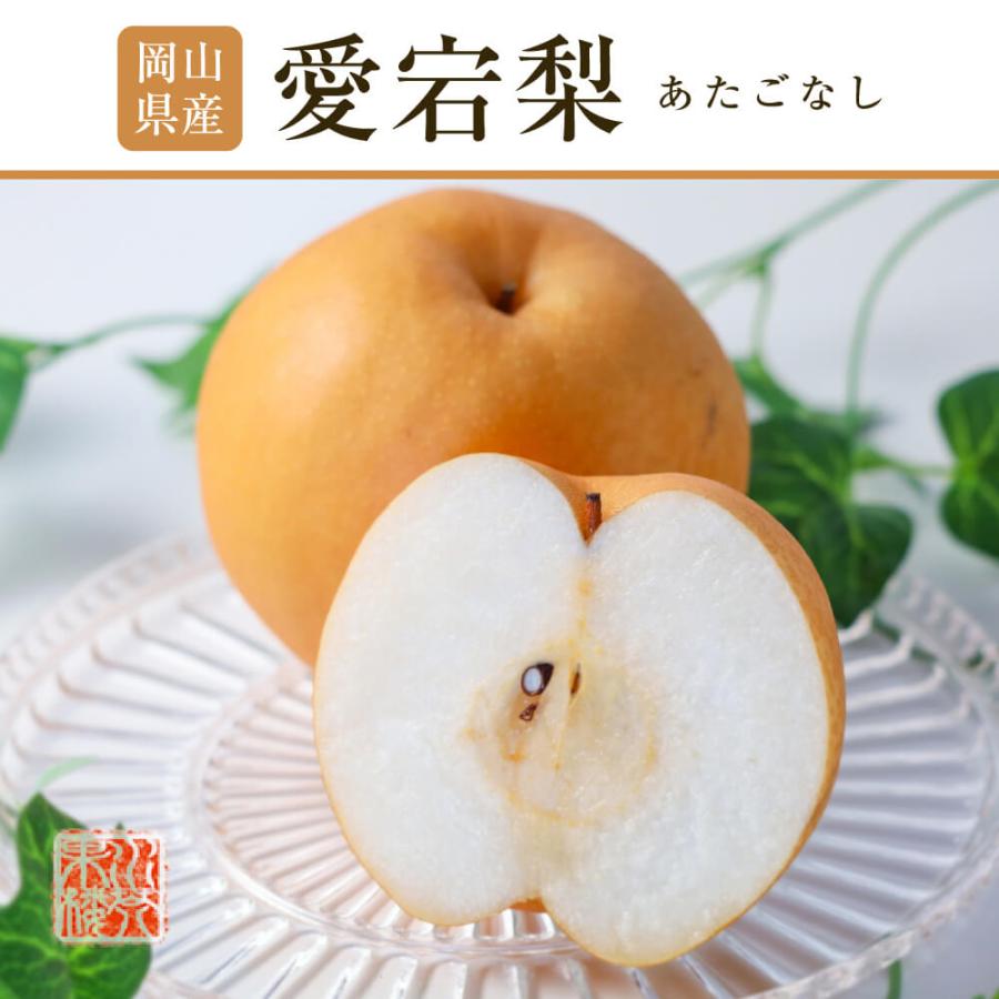 2025 お歳暮 ギフト 岡山県産 あたご梨 秀品 大玉 2玉入り 合計約1.6kg
