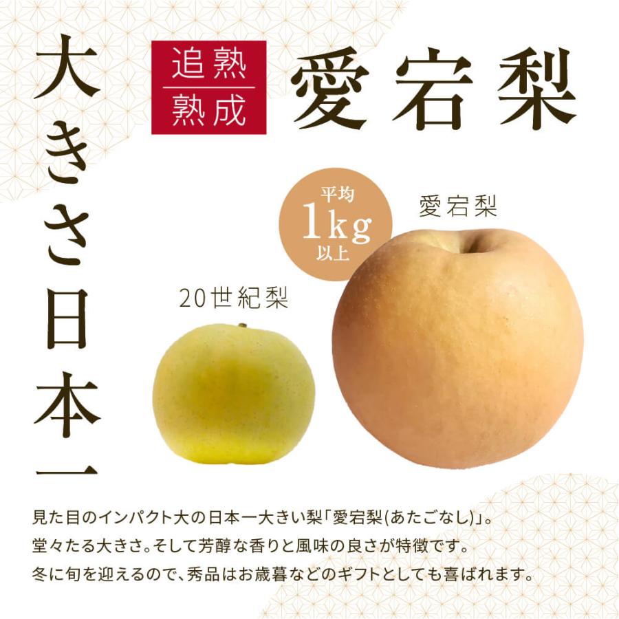 2025 お歳暮 ギフト 岡山県産 あたご梨 秀品 大玉 2玉入り 合計約1.6kg