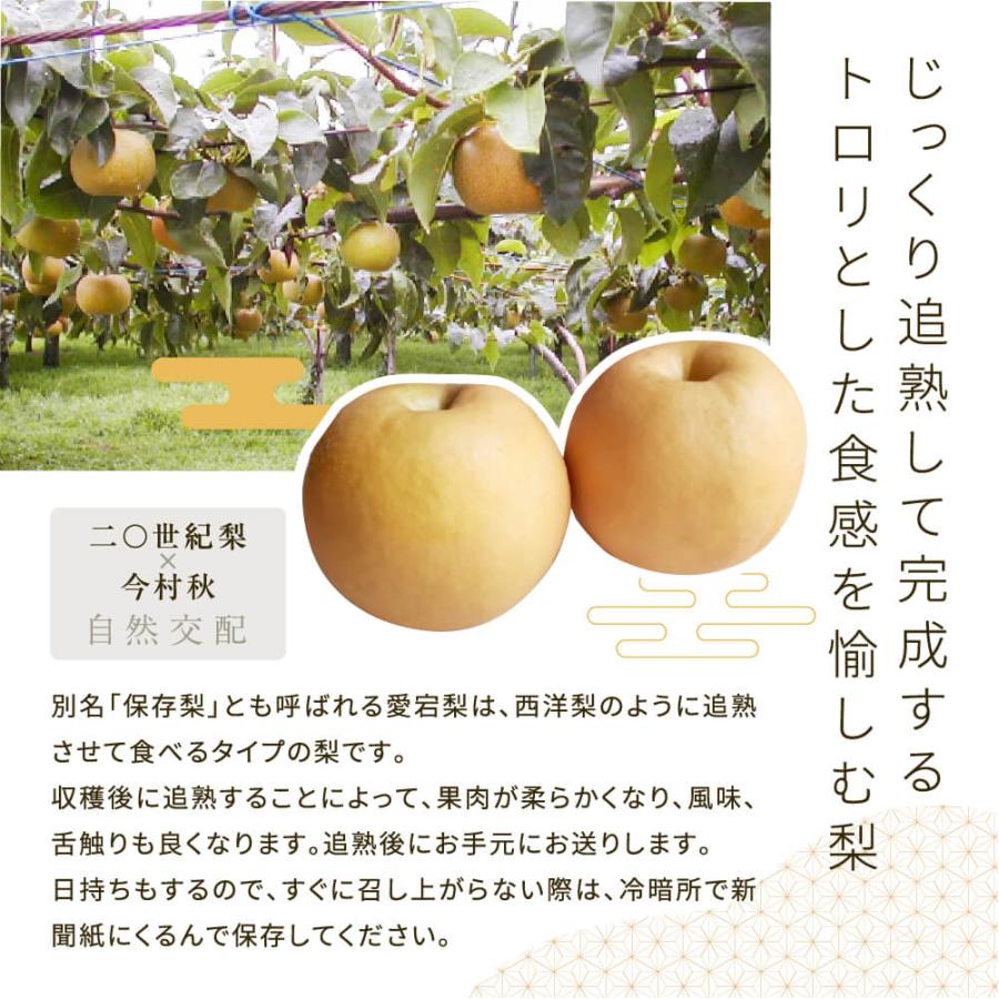 2025 お歳暮 ギフト 岡山県産 あたご梨 秀品 大玉 2玉入り 合計約1.6kg