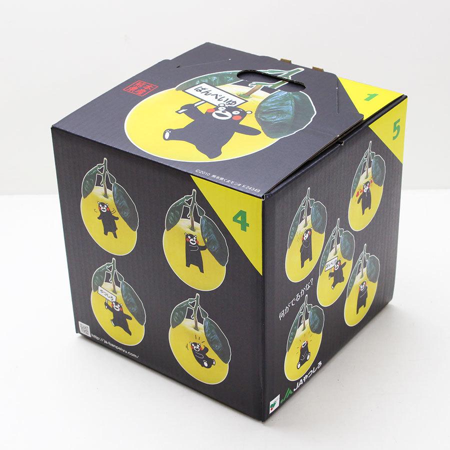 ザ・ビートルズ・マンスリー (77冊コンプリートBOX特典付き) 【復刻版