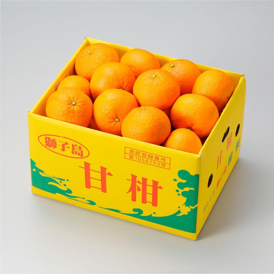 3月下旬頃より発送) 鹿児島県 獅子島産 紅甘夏 秀品 L〜3Lサイズ 約5kg