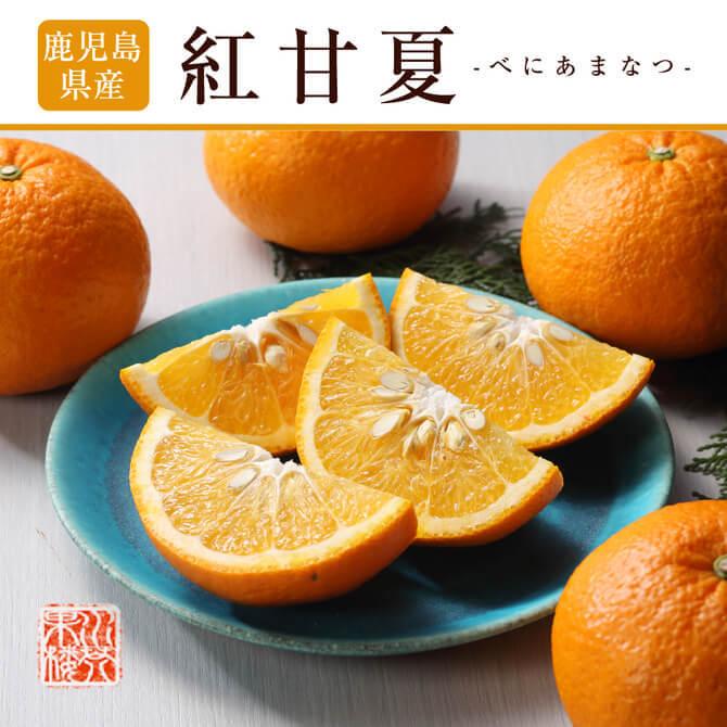 3月下旬頃より発送) 鹿児島県 獅子島産 紅甘夏 秀品 L〜3Lサイズ 約5kg