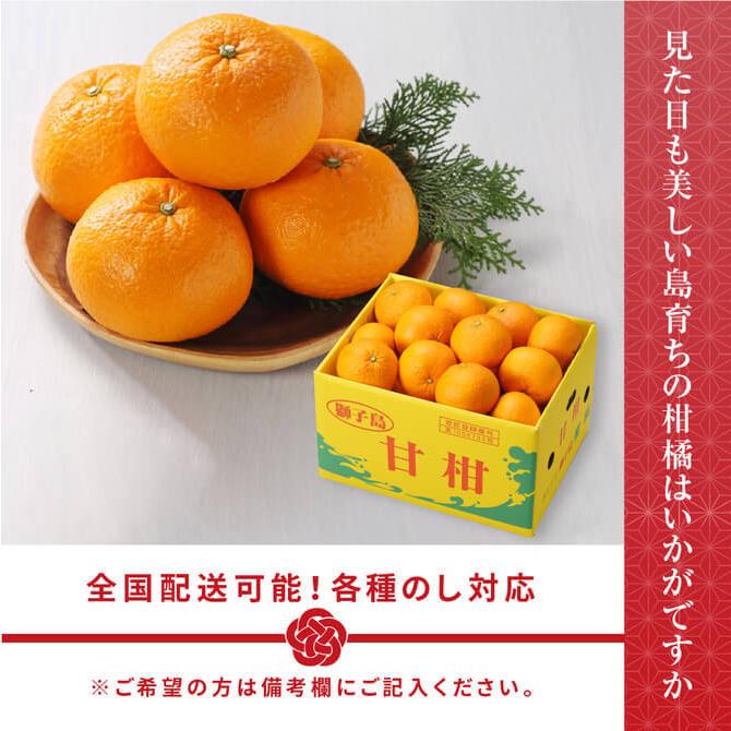 3月下旬頃より発送) 鹿児島県 獅子島産 紅甘夏 秀品 L〜3Lサイズ