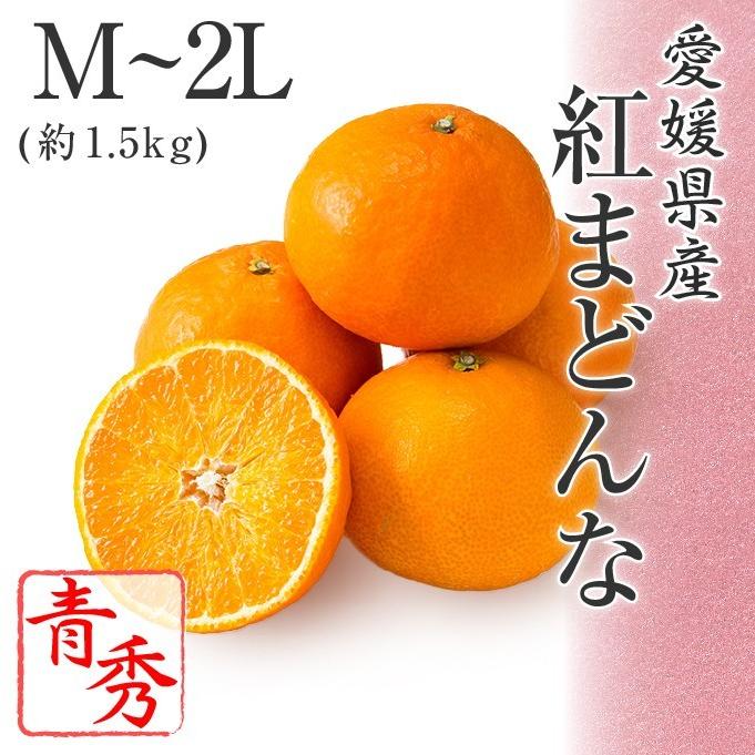 2025 お歳暮 ギフト 紅まどんな M〜2Lサイズ 約1.5kg 青秀品 愛媛県 フルーツ プレゼント みかん ミカン 12月上旬頃より順次発送 爆買