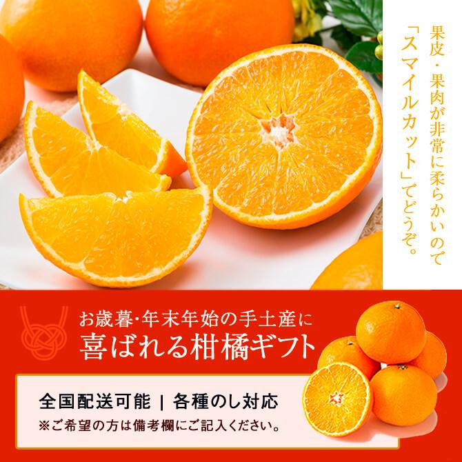 2025 お歳暮 ギフト 紅まどんな 3L〜5Lサイズ 約3kg 秀品 愛媛県