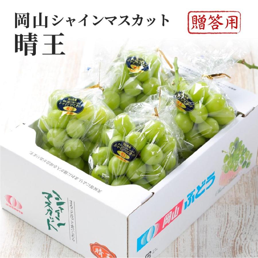 2026 お中元 岡山県特産 シャインマスカット 晴王 赤秀品 3〜5房 約2kg