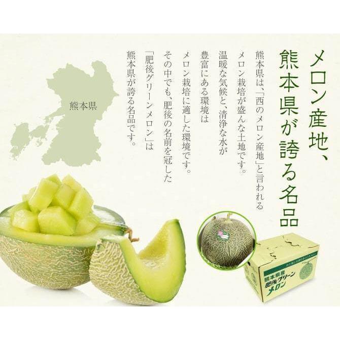熊本県産 肥後グリーンメロン ギフト 秀品 5L 2玉入り 約4.5kg メロン 