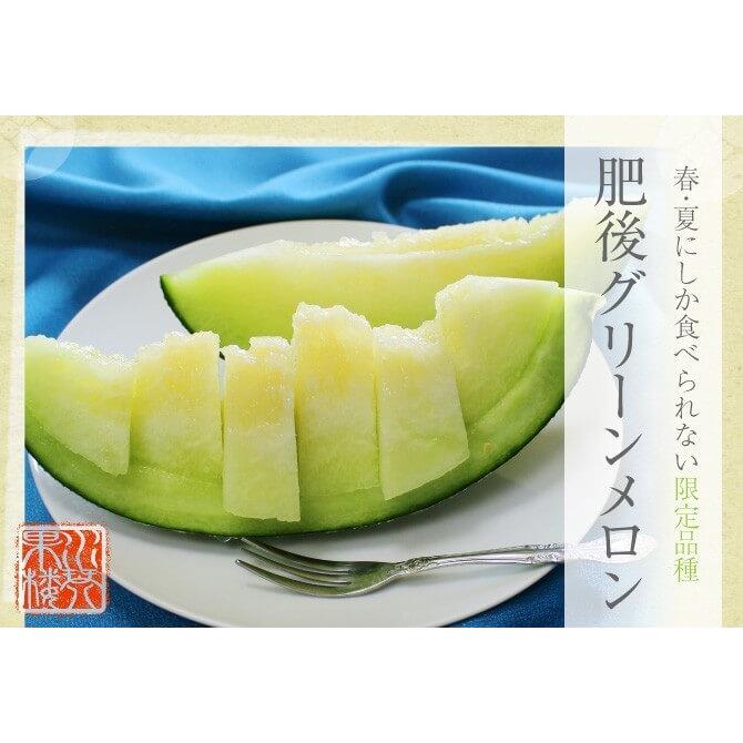 熊本県産 肥後グリーンメロン ギフト 秀品 6L〜7L 2玉入り 約5kg