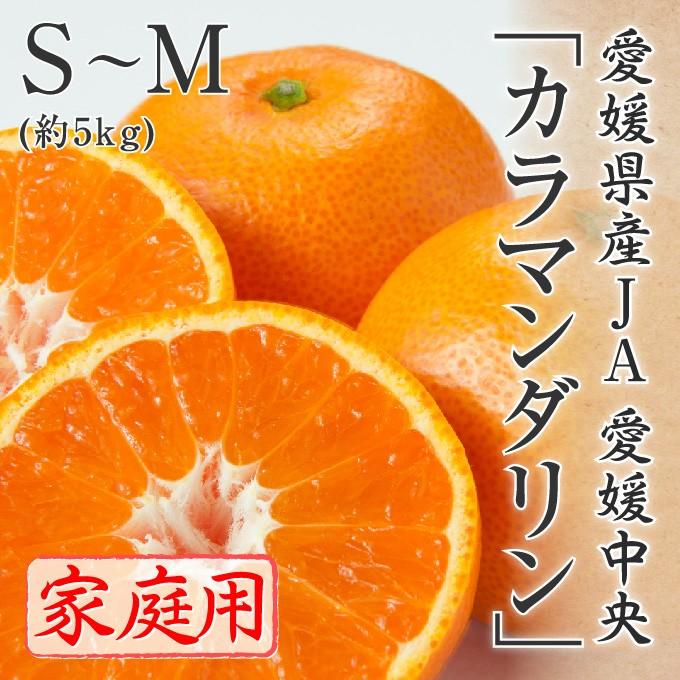 カラマンダリン 家庭用 訳あり S〜Mサイズ 約5kg 愛媛県 フルーツ