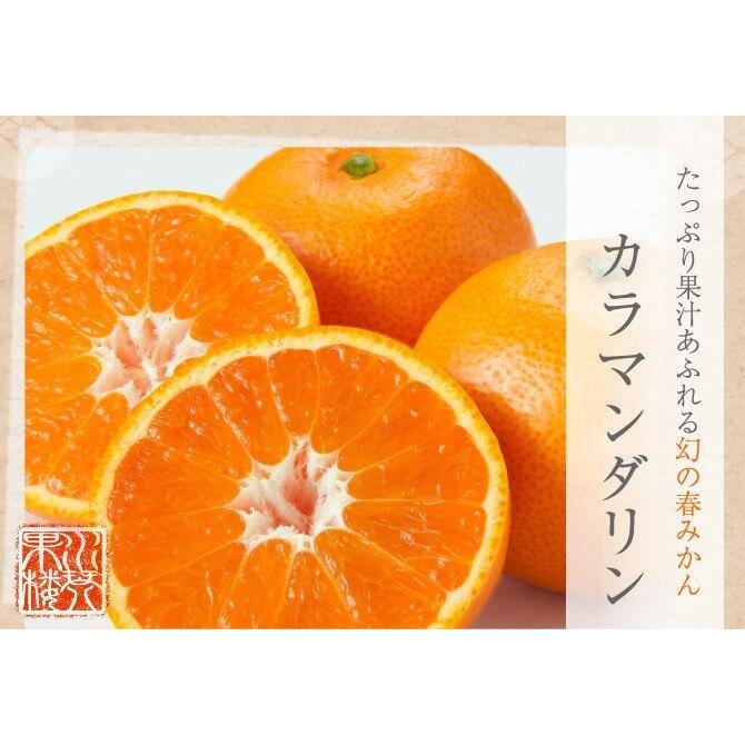 カラマンダリン 家庭用 訳あり S〜Mサイズ 約5kg 愛媛県 フルーツ