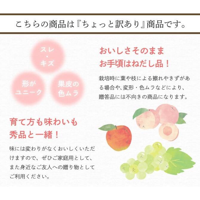 (4月下旬より発送) 愛媛県産 カラマンダリン 家庭用 訳あり L〜3Lサイズ 約5kg みかん 愛媛 フルーツ みかん ミカン 母の日｜suikinkarou｜07